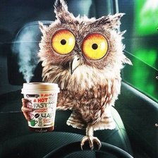 Схема вышивки «№1142778»