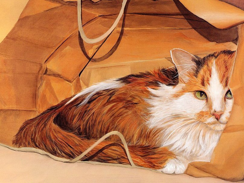 Рыжий кот - оригинал
