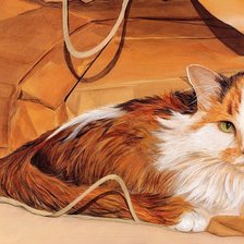 Схема вышивки «Рыжий кот»