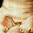 Предпросмотр схемы вышивки «котята на охоте» (№1142990)