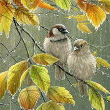 Схема вышивки «70»