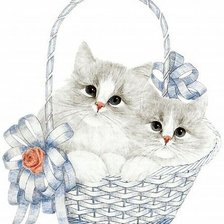 котята в корзинке