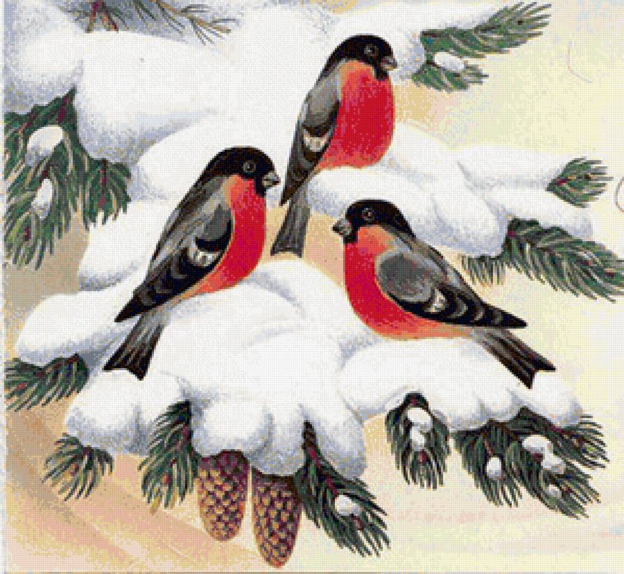 Снегири на ветке - зима, птицы, снегири - предпросмотр