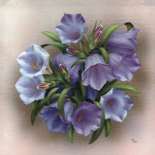 Колокольчики