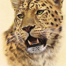 Схема вышивки «75»