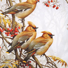 Схема вышивки «77»