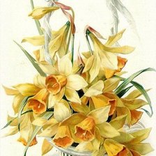 Схема вышивки «Цветы в корзинке.Букет нарциссов»