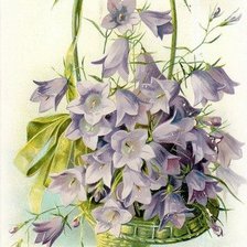 Схема вышивки «Цветы в корзинке.Букет колокольчиков»