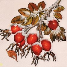 Схема вышивки «Шиповник в снегу»