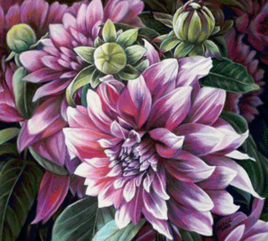 Георгины - цветы, георгины - предпросмотр