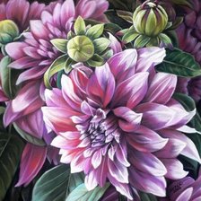 Схема вышивки «Георгины»