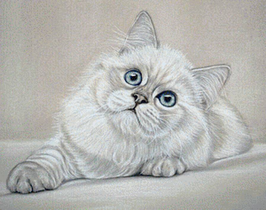 голубоглазик - предпросмотр