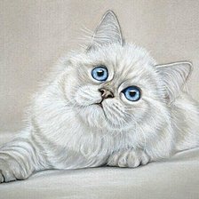 Схема вышивки «голубоглазик»