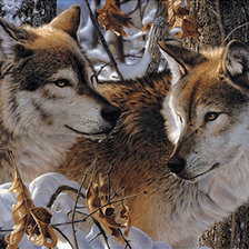 Схема вышивки «№1144258»