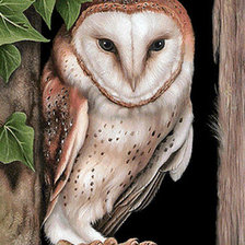 Схема вышивки «№1144263»