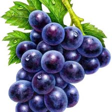 Схема вышивки «Виноград»