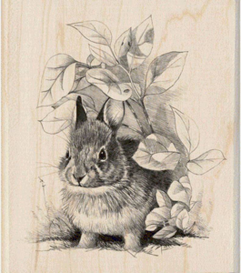 №1144729 - предпросмотр