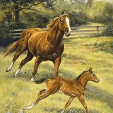 Схема вышивки «№1144733»