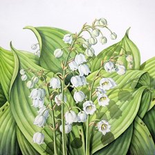 Схема вышивки «Ландыши»