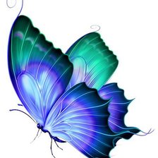 Схема вышивки «бабочка»