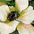 Предпросмотр схемы вышивки «букет» (№1144863)