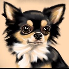 Схема вышивки «Чихуахуа»