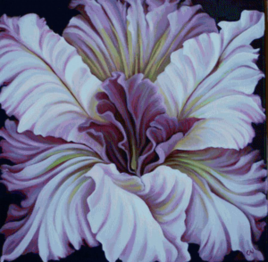 Цветок - цветы, ирис, цветок - предпросмотр