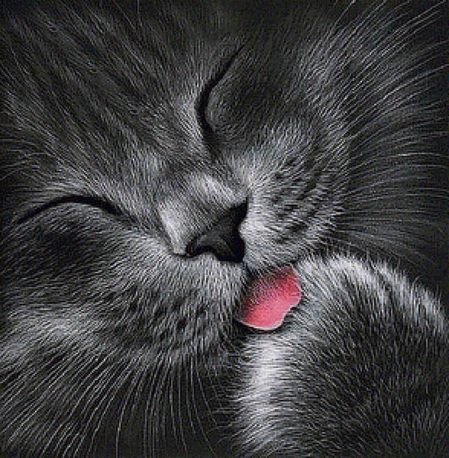 80 - предпросмотр