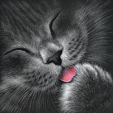 Схема вышивки «80»