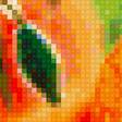 Предпросмотр схемы вышивки «Маки» (№1145100)