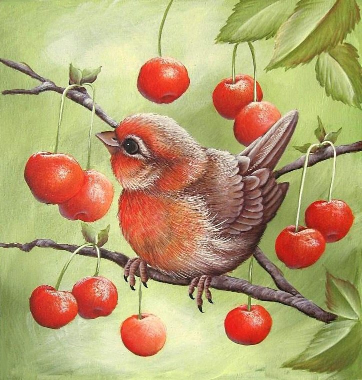 птички-невелички - птицы, птица, птичка - оригинал