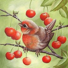 Схема вышивки «птички-невелички»