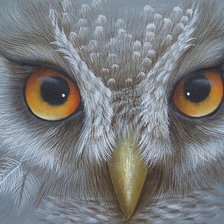 Схема вышивки «ночной страж»