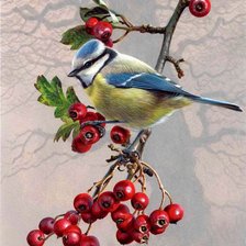 Схема вышивки «птички на рябине»