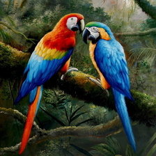 Схема вышивки «Попугаи»