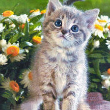 Схема вышивки «котенок на клумбе»