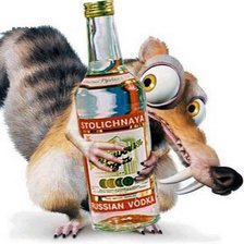 Схема вышивки «белка»