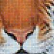 Предпросмотр схемы вышивки «Тигр» (№1146724)