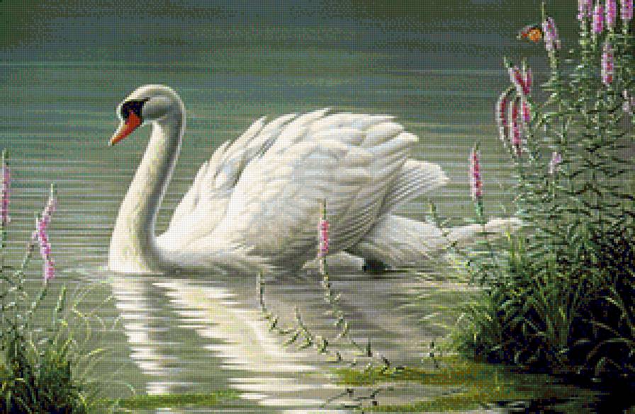 №1146749 - предпросмотр