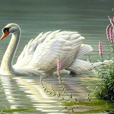 Схема вышивки «№1146749»