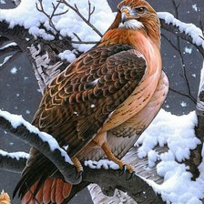 Схема вышивки «Серия птицы»