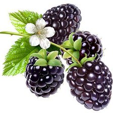 Схема вышивки «Серия "На кухню"»