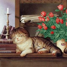 спящее чудо