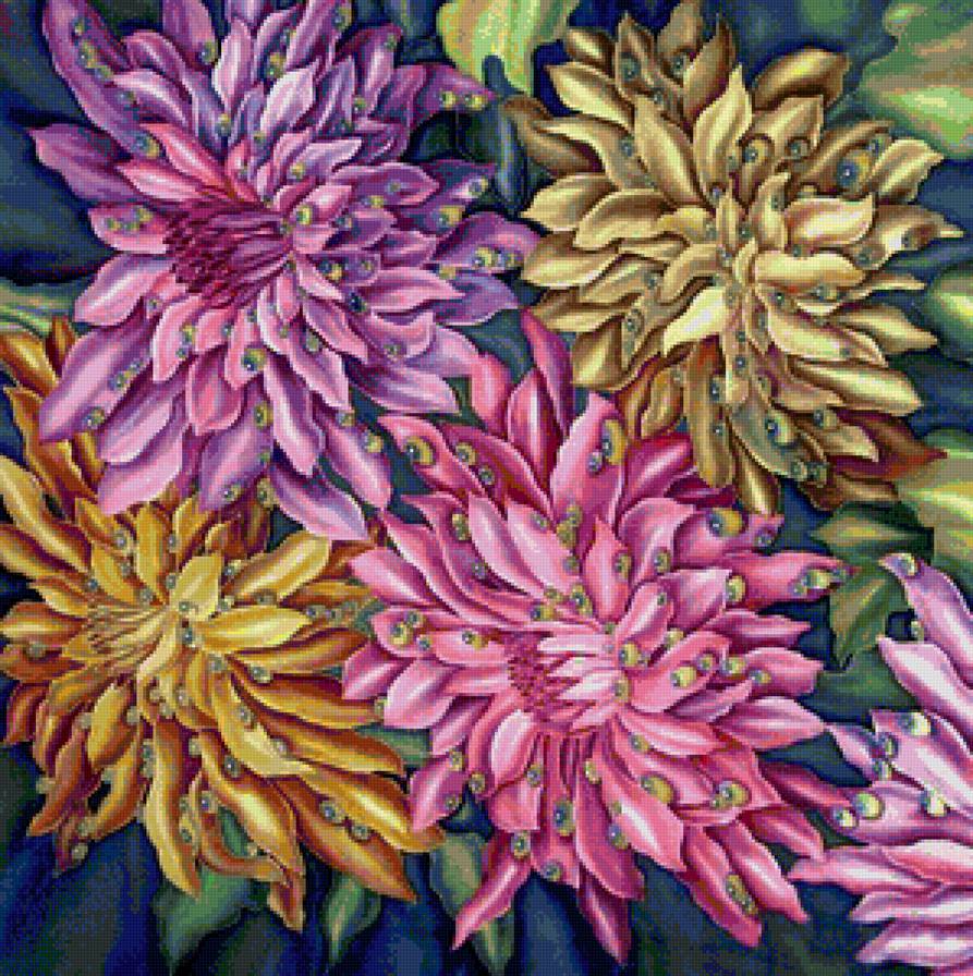 Хризантемы - цветы, хризантемы - предпросмотр