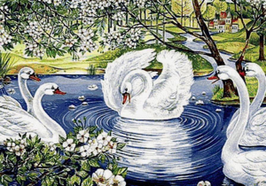 Лебеди - лебеди, река, птицы - предпросмотр