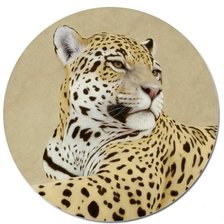 Схема вышивки «Ягуар»