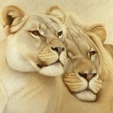 Схема вышивки «Он и она»