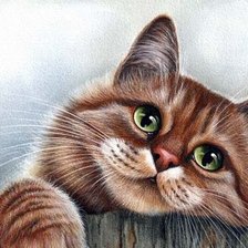 Схема вышивки «котик»