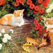 Схема вышивки «кошки»