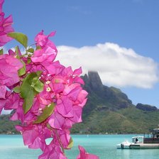 Схема вышивки «экзотика»